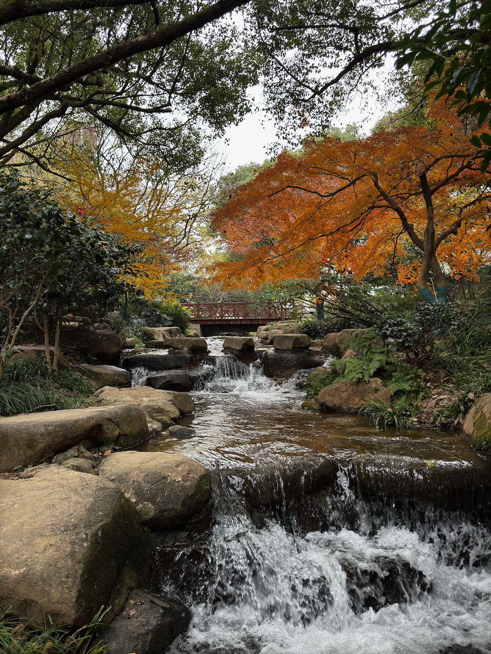 Adventure photo 13
